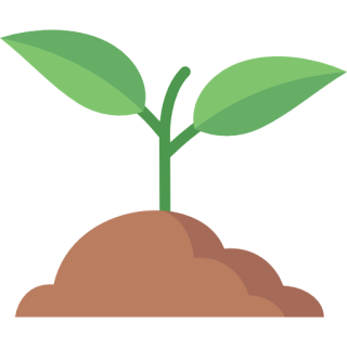 sprout sprout